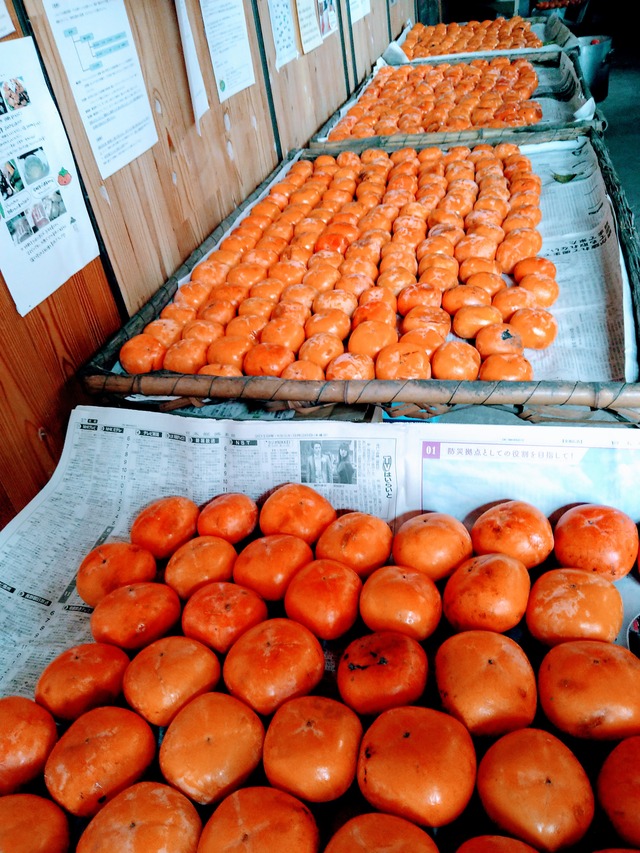 柿酢の送料無料6本セット