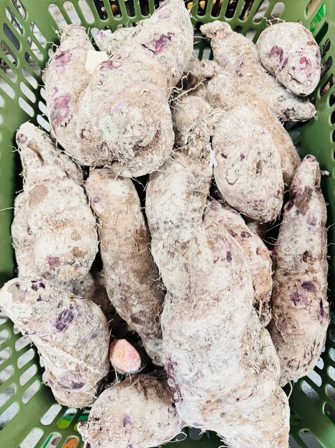 紫色さつま芋・Purple jam・Khoai mo tim 1kg | VIETNAM FOODS