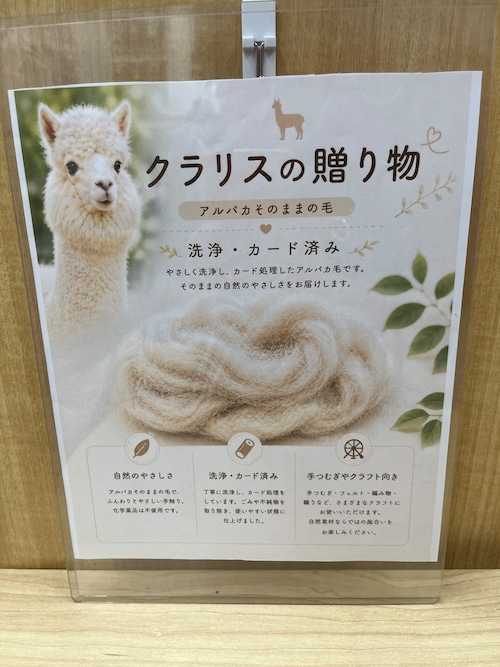すぐに紡げる！アルパカ原毛　