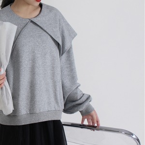 ビッグラペル　 スウェットプルオーバー2col N 10153