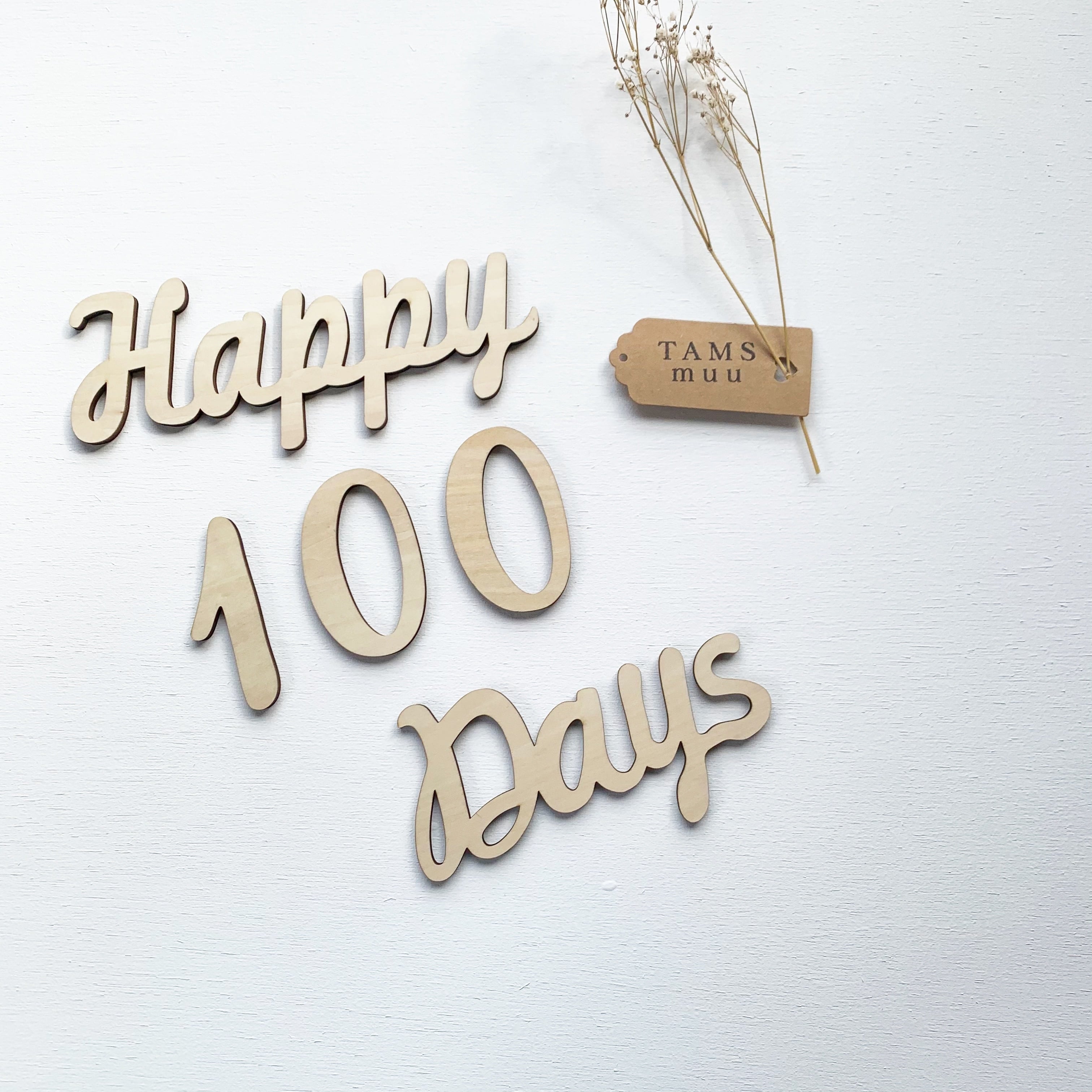 即納】Happy 100 Days レターバナー | TAMSmuu