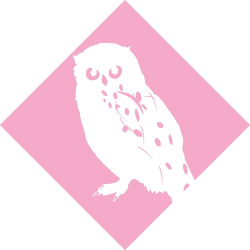 【chouette blanche】白いフクロウの定期便