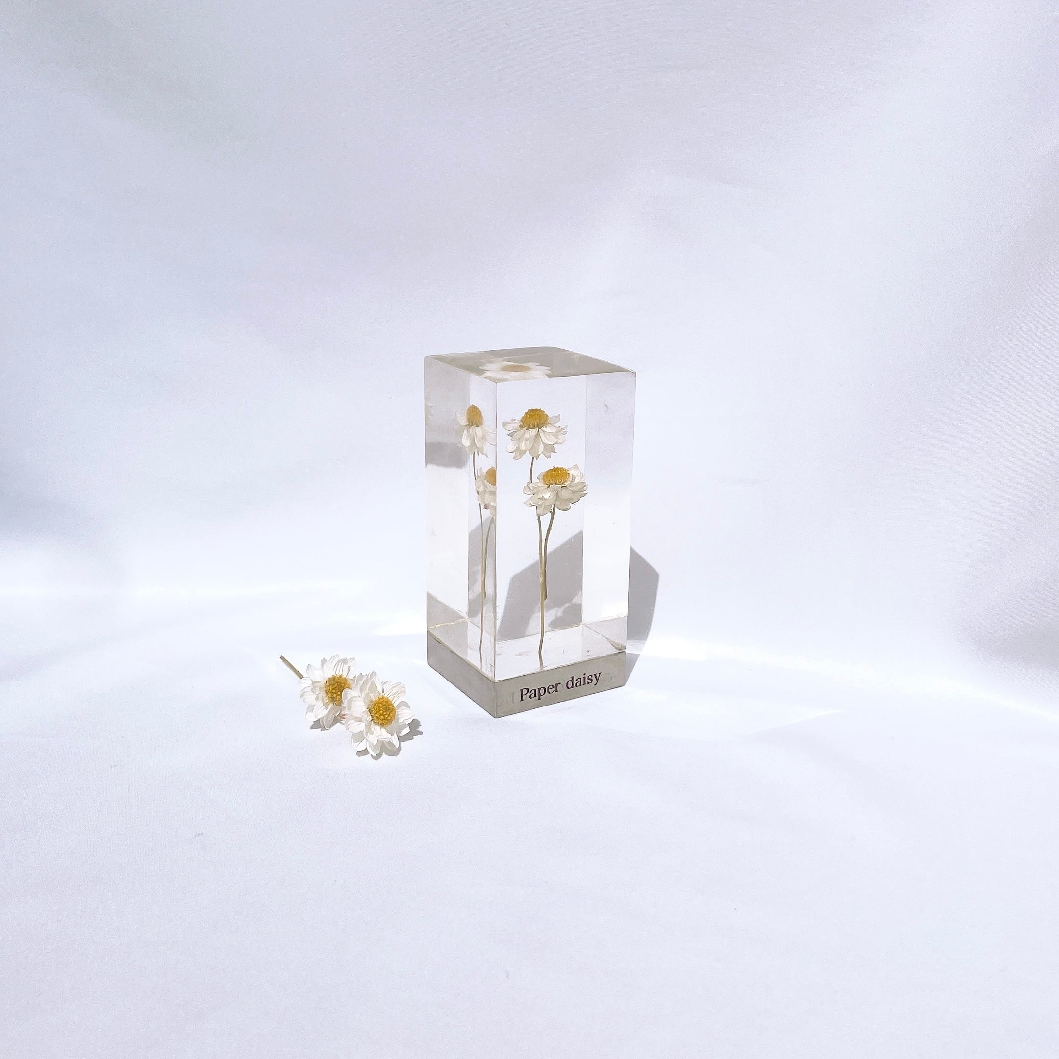 Crystal Paperdaisy【花かんざし】 | Forever Grace