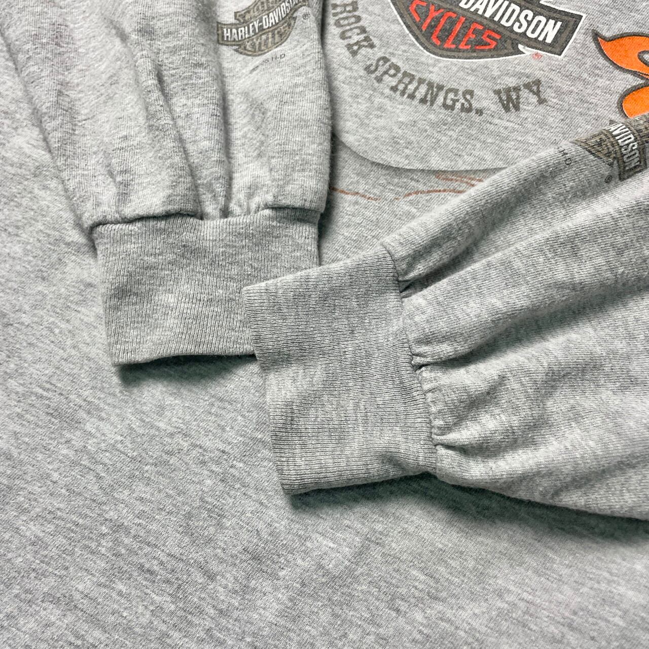 USA製 Harley-Davidson Looney Tunes ルーニー・テューンズ タスマニア