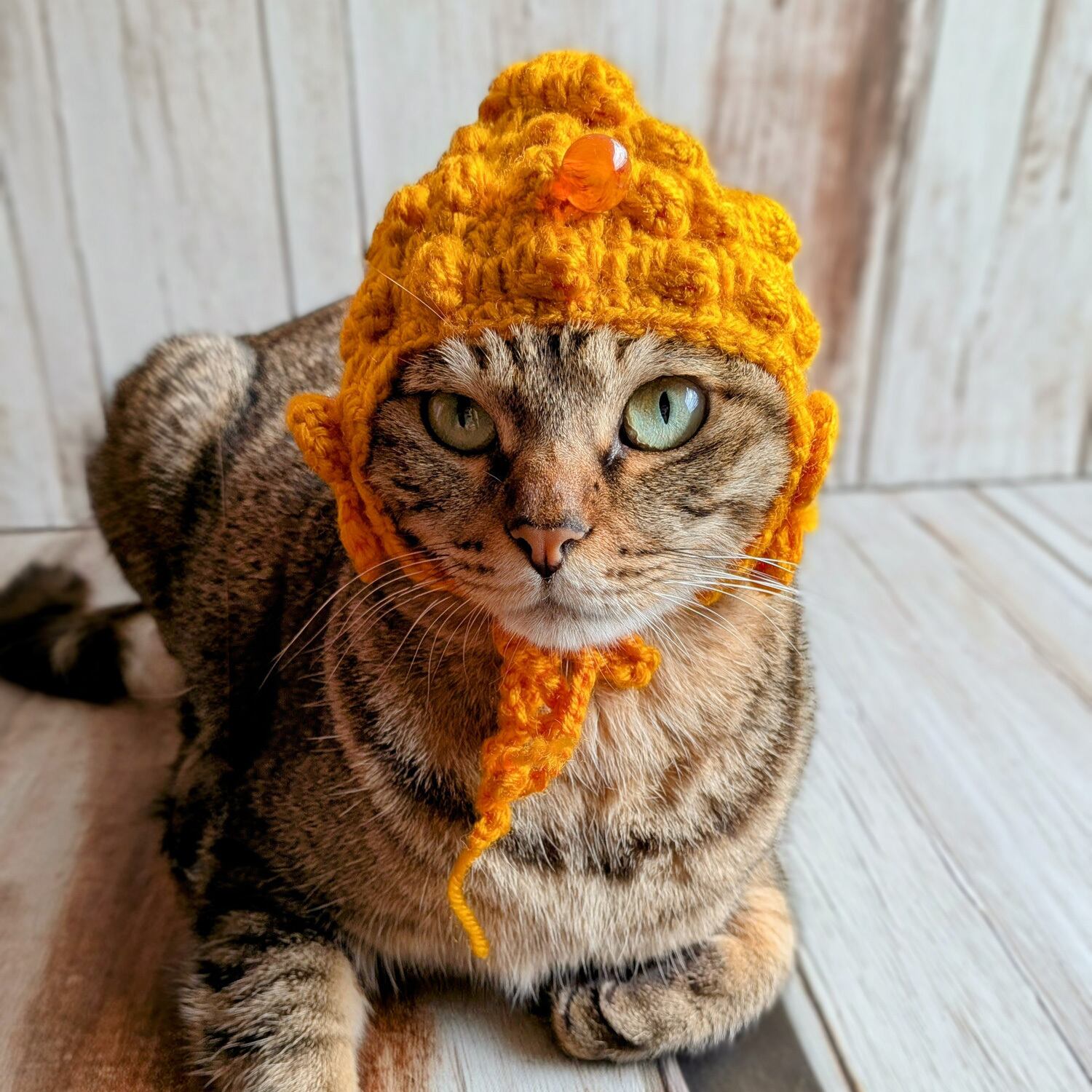 ペット用「大仏ぼうし」犬 猫 被り物 コスプレ 帽子 ぬい活 | ネコノテ