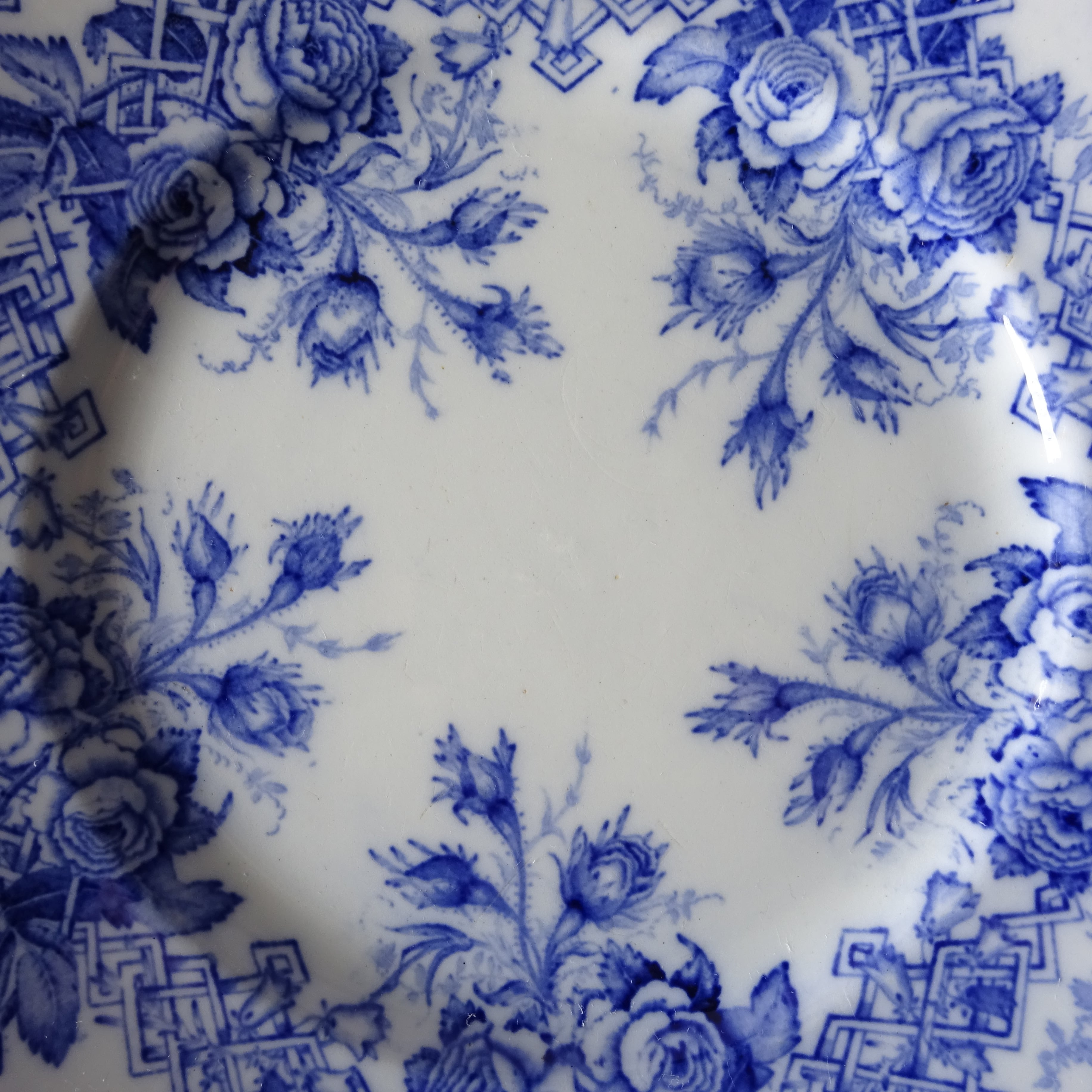 Creil et Montereau  modèle 《FLORA T.》décor Roses assiette plate (B)