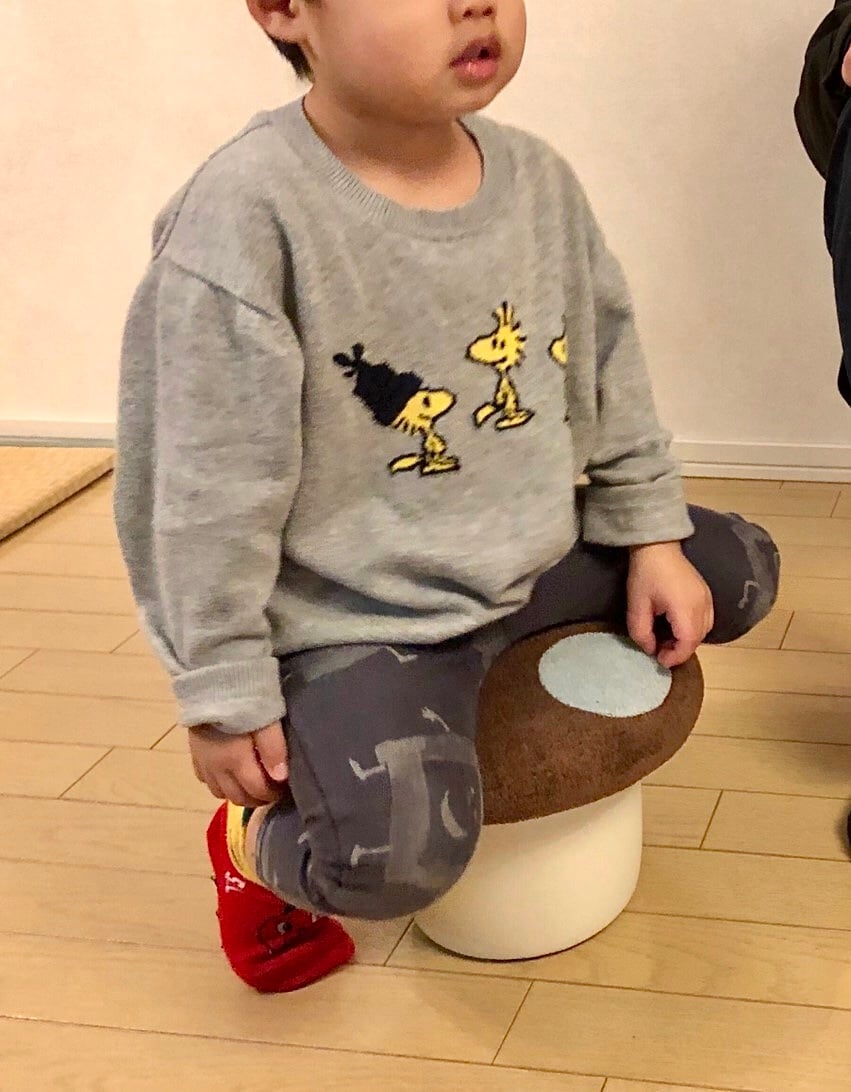 ミニきのこ椅子[ファブリック/アンティカ] | Pay ID