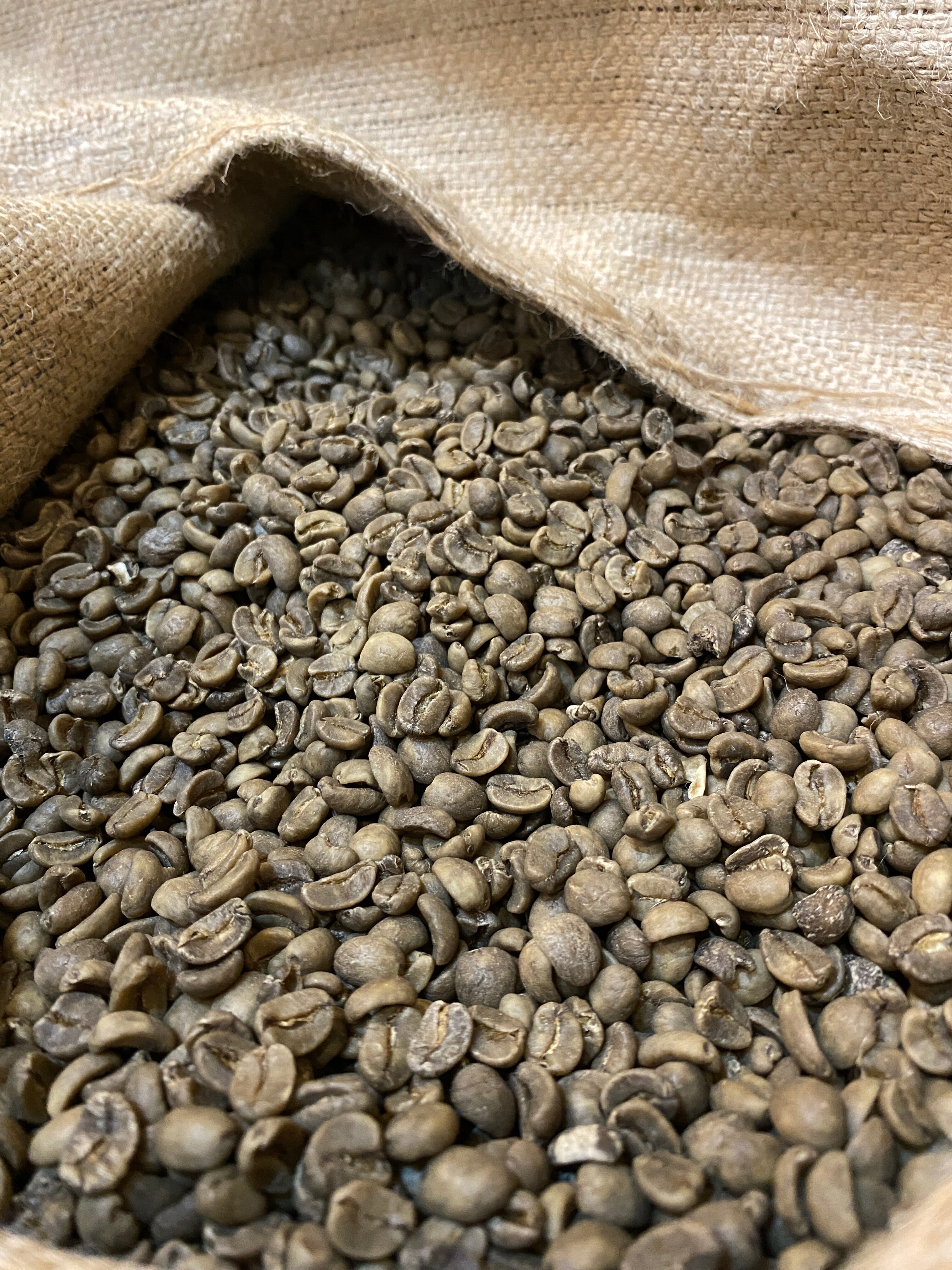☆ホンジュラス産 DECAF オーガニックカフェインレスコーヒー 150g 豆