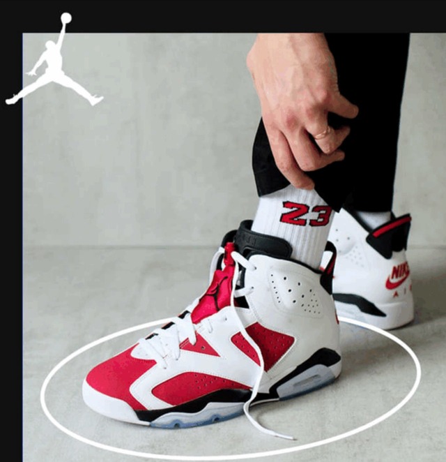 Nike Air Jordan 6 カーマイン 29.5cm