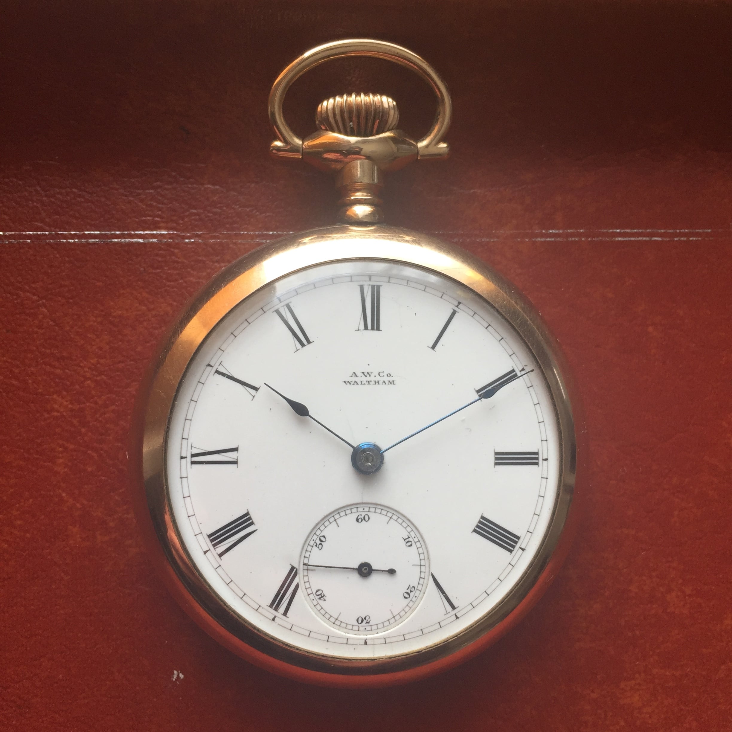 Waltham & Co. Pocket Watch 1905年