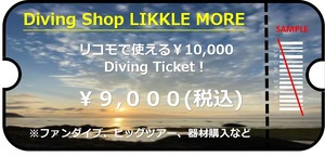 ダイビングチケット9000円