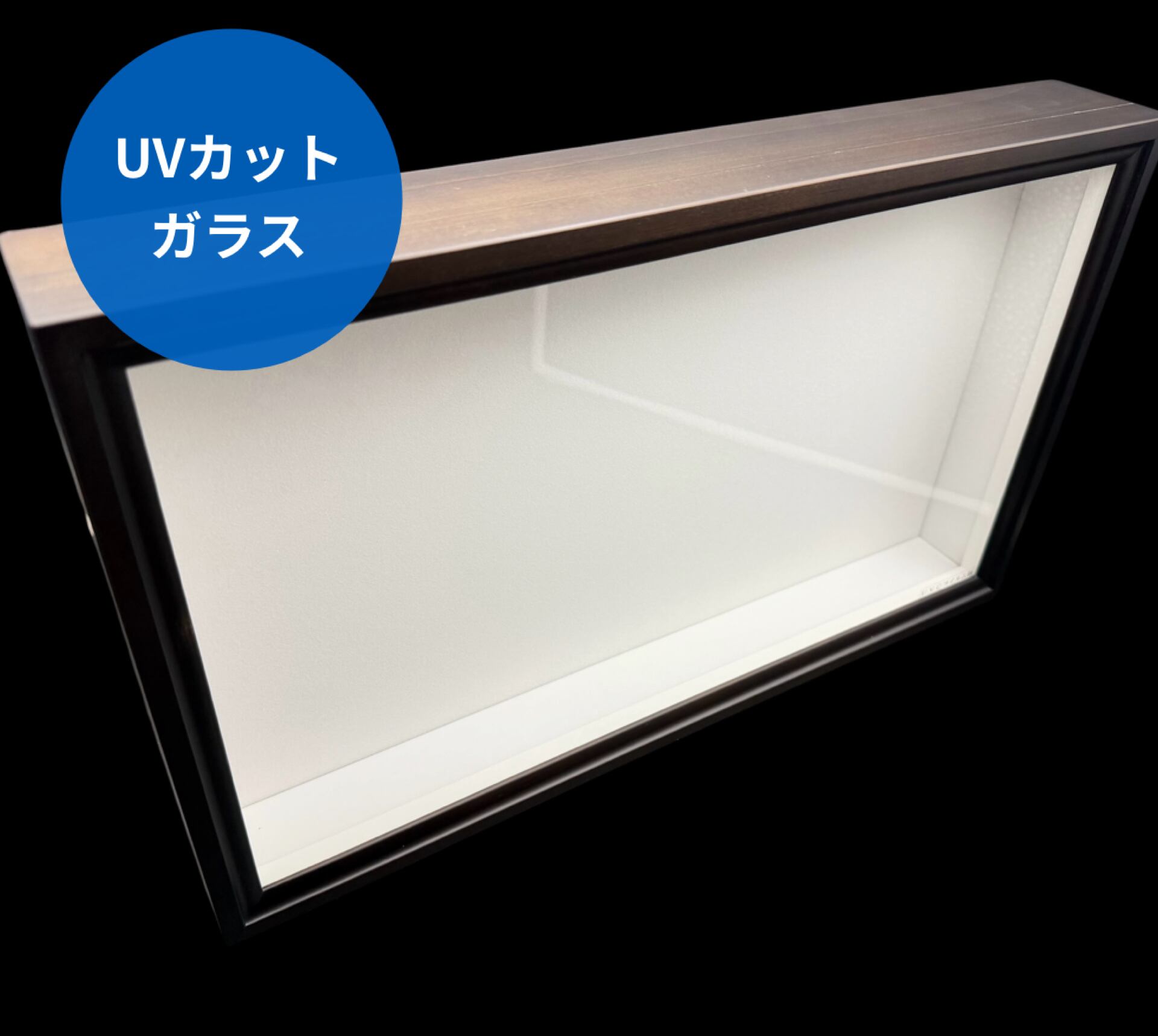 標本箱 | KPW BASE店