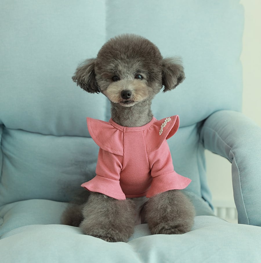 purina t-shirt S ~ XL 4color  /  犬服 秋冬 Tシャツ ブラウス 上品 可愛い ワンコ服 ストレッチ 犬の服 長袖 無地 ドッグウェア フリル シンプル ニット お揃い ハイネック 韓国ワンコ服 小型犬 中型犬
