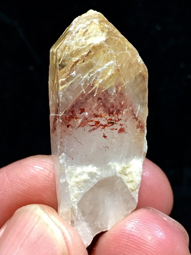 1) 超希少！突然変異「ナイジェリア・ドリーム」