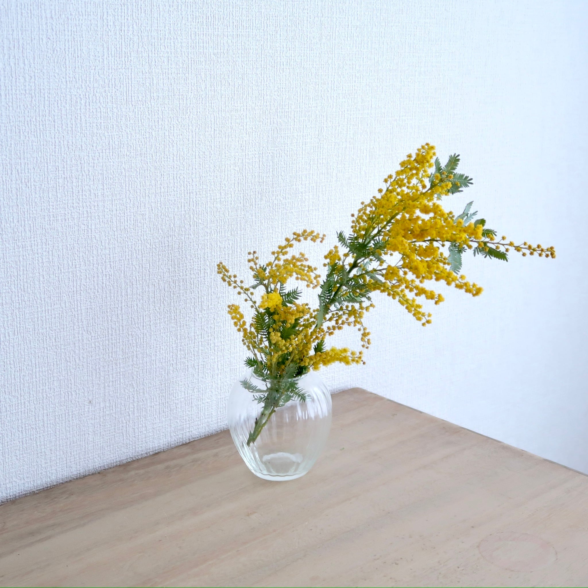 flower Vase | SUISUI