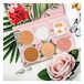 フィジシャンズフォーミュラ オールスター フェイスパレット / Physicians Formula All-Star Face Palette