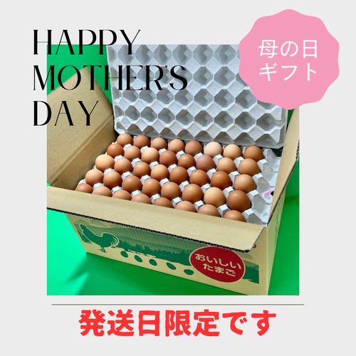 【Happy　Mother′s　Day】早割　母の日ギフト！！10％OFF【～4/30（火）までのご注文限定】　絶品たまごギフトセット  平飼い有精卵 業務用　160個