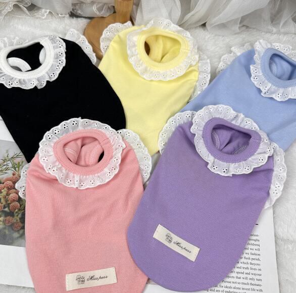 《予約》№1102832 バリュエーション カラフルトップス