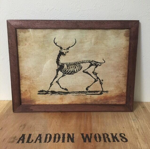 恐竜ポスターD (A3サイズ)