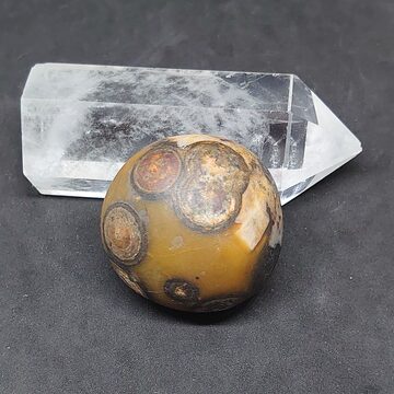 モンゴルゴビ瑪瑙 原石 金銭眼石母岩標本 置物 レア品 ゴビ瑪瑙 ゴビ石  