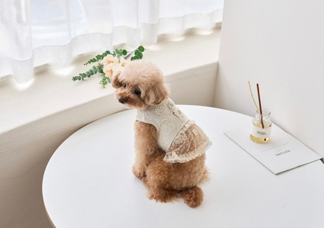 Camellia Linen Harness