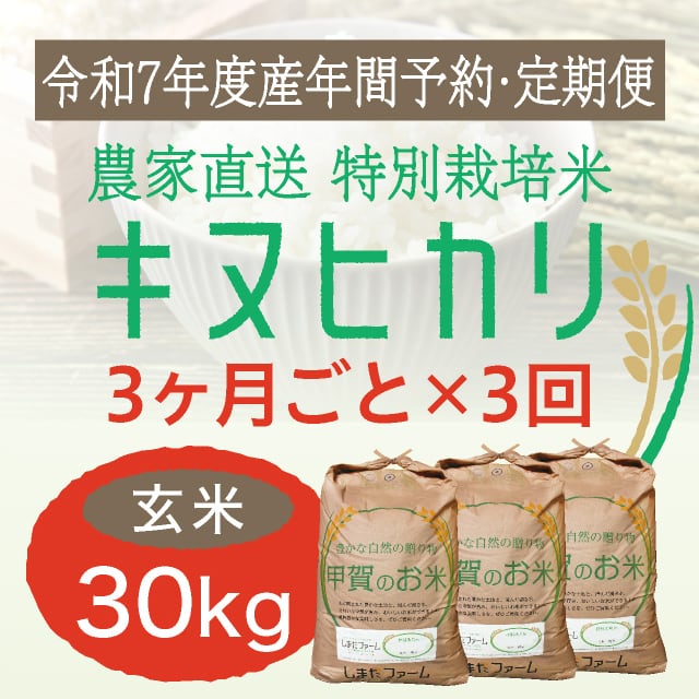 年間予約・定期便〉農家直売・特別栽培米 ミルキークイーン 玄米30kg 3