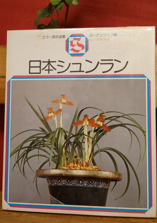 日本シュンラン　カラー園芸選書