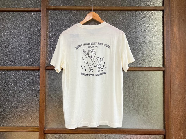 THE NORTH FACE WHITE LABEL MERINO WOOL GRAPHIC TEE (MOOSE/IVORY)