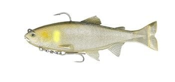 ハドルストン/ハドルトラウト 8