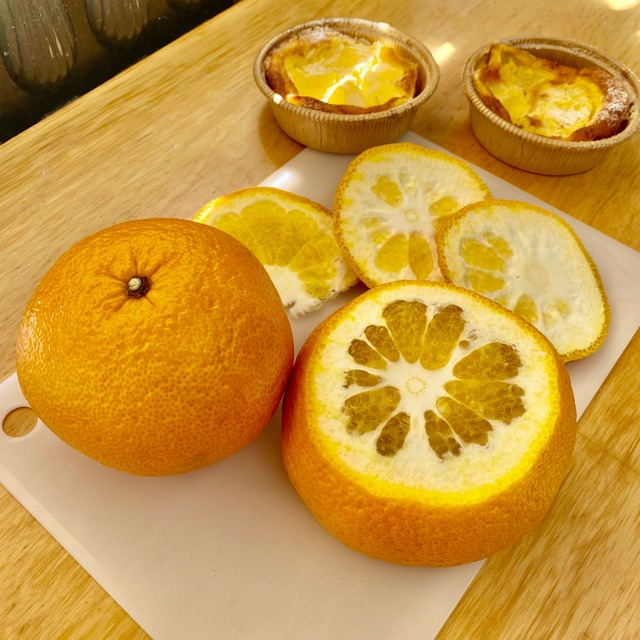 夏みかんのクラフティ　＊店頭販売のみ。サイトでSold out 表記になっていても店頭ではご用意しております。