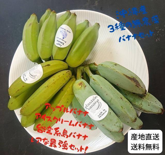 沖縄本島北部産！お得な国産　絶品ナムワバナナとアイスクリームバナナ1.5㎏