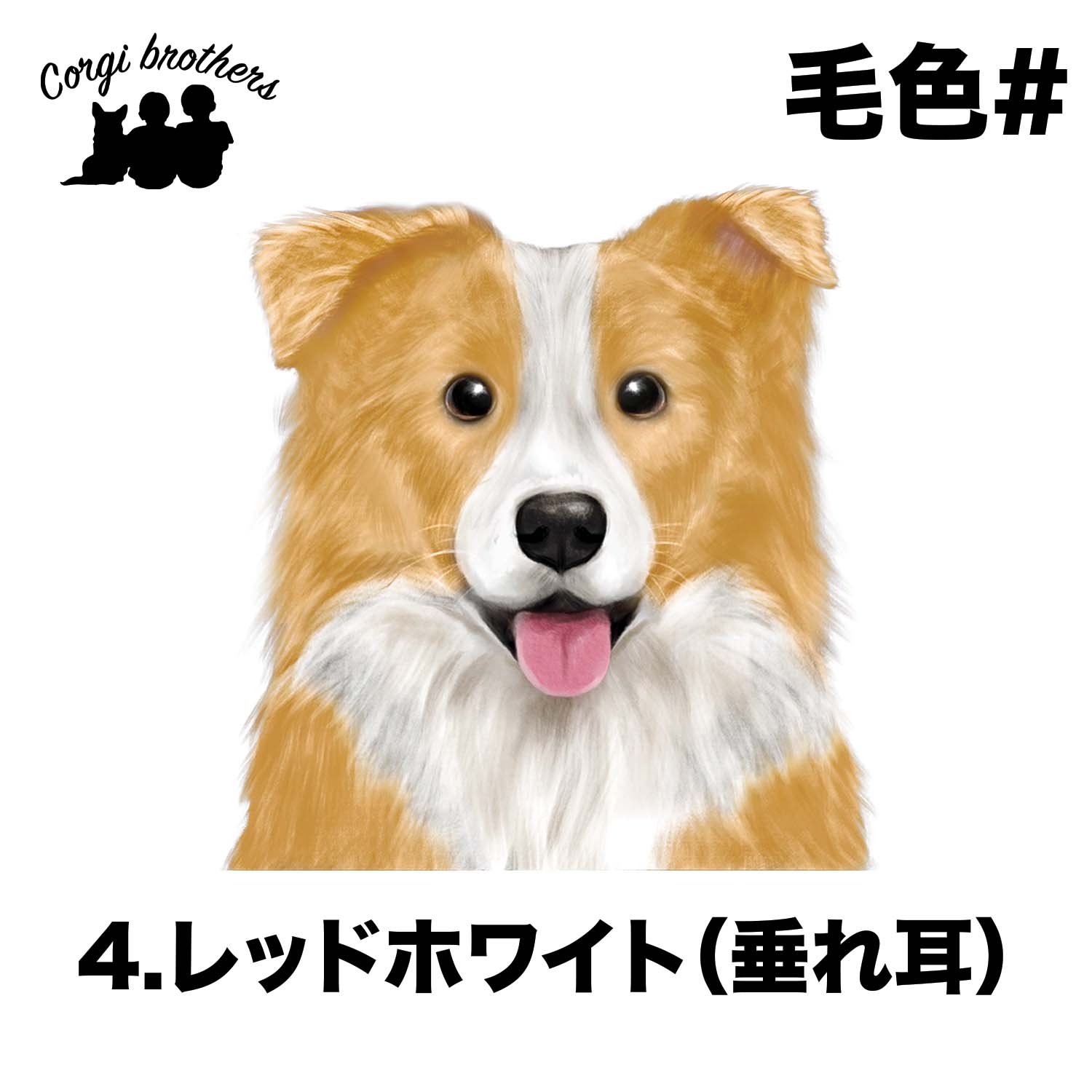 ボーダーコリー 水彩画風 毛色4色 】 キャニスター お家用 プレゼント