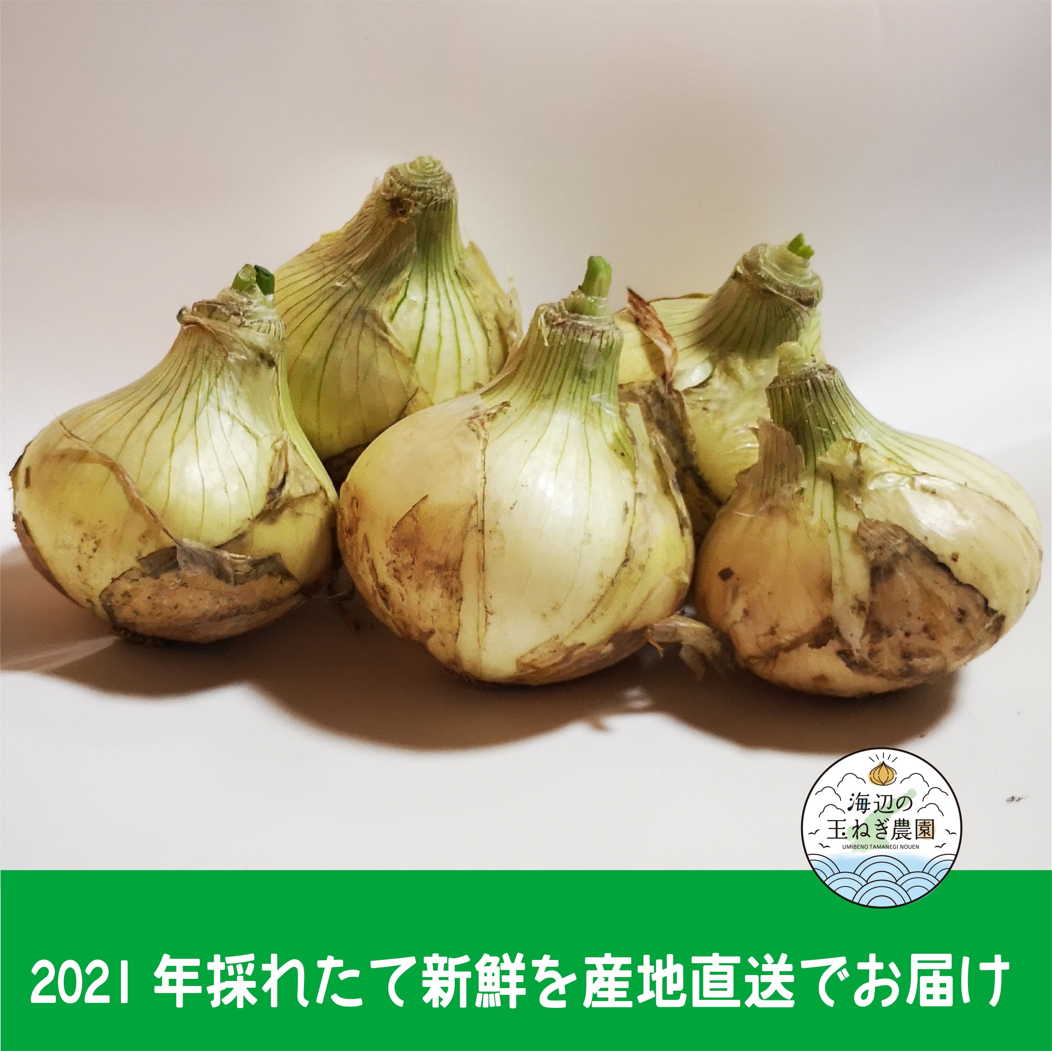 2026年販売終了】新たまねぎ3KG | 淡路島_海辺の玉ねぎ農園