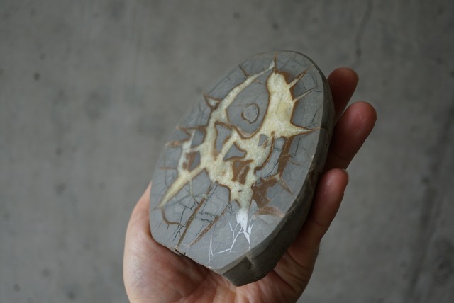 ユタ州産セプタリアン　Septarian　1069