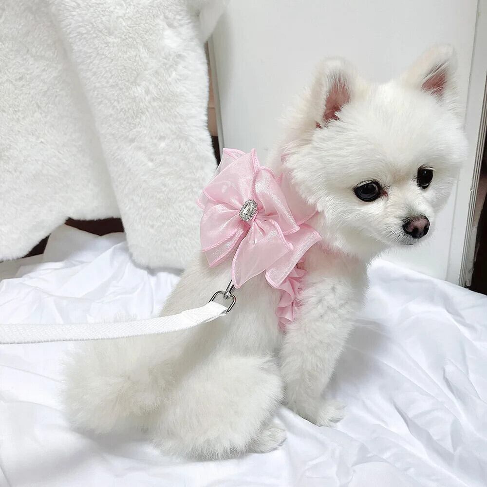 犬用ハーネス かわいい子犬猫用ハーネスベスト調節可能な