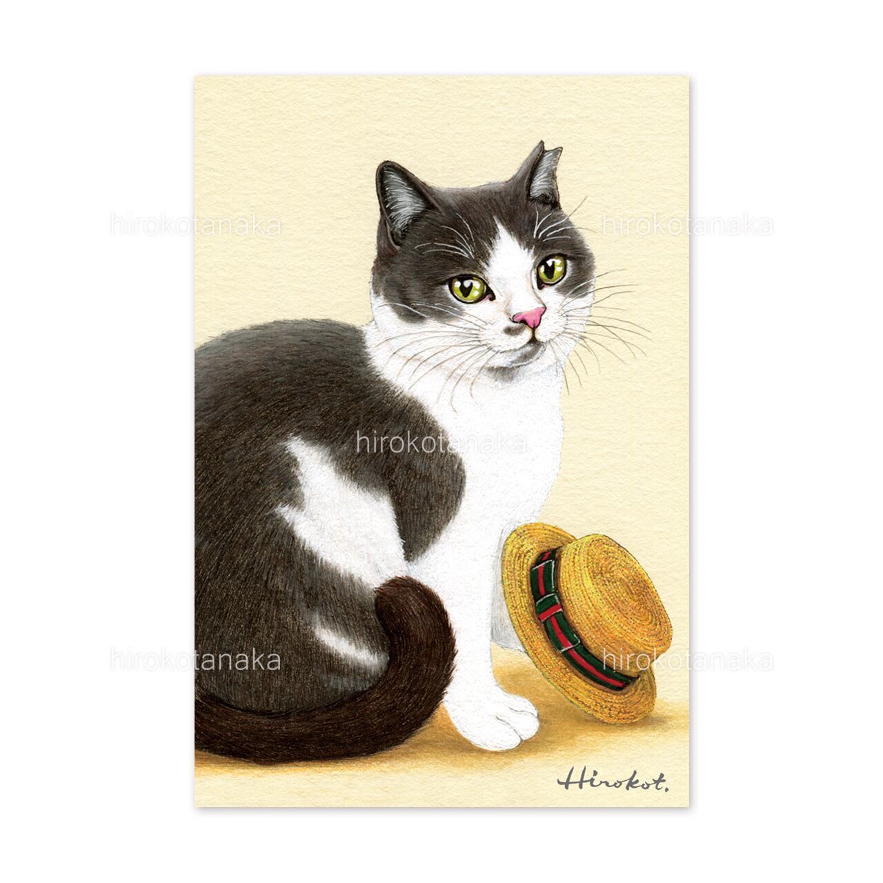 9.ねこと麦わら帽 ポストカード / Cat and Straw Hat Postcard