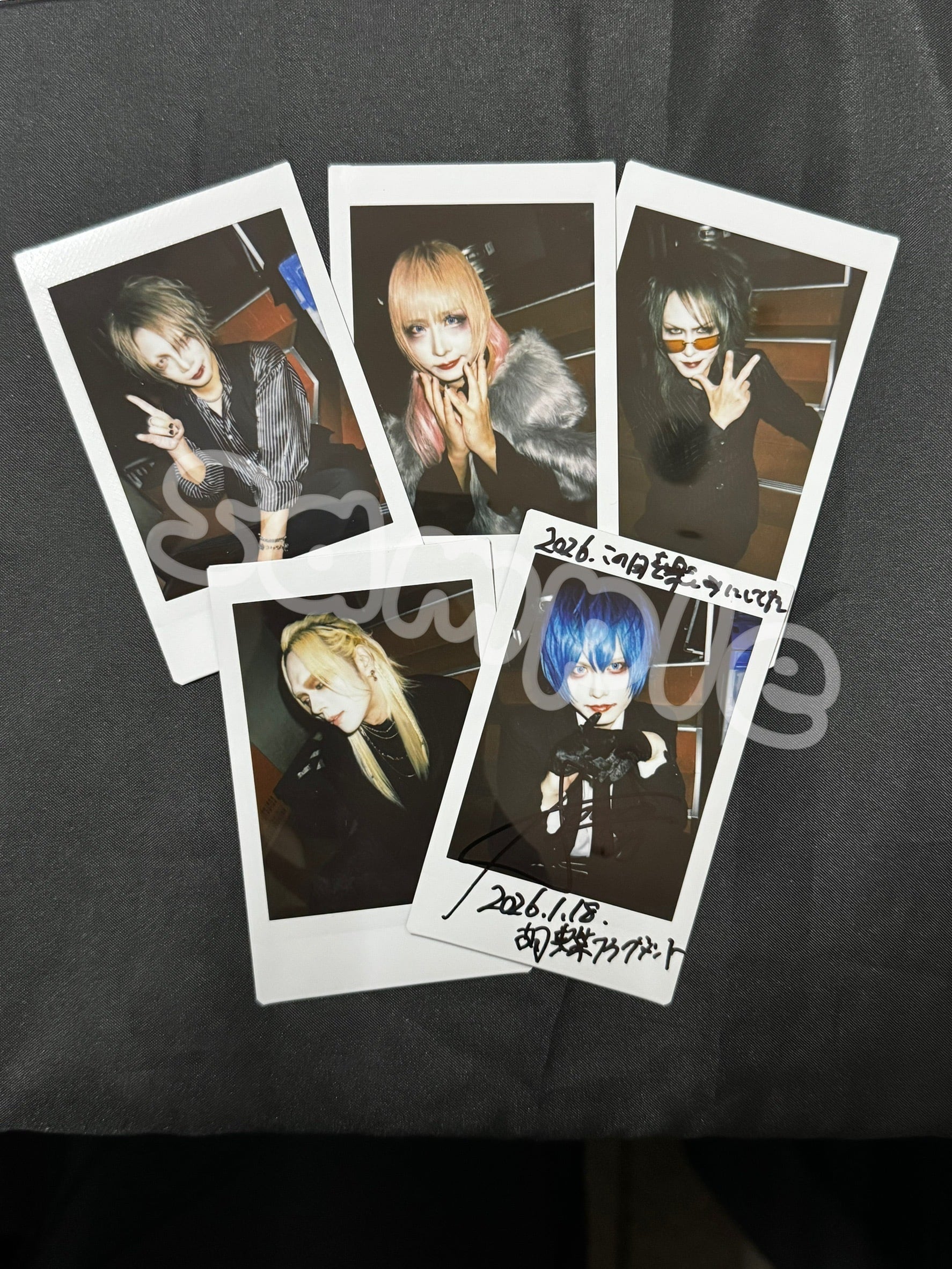 蛾と蝶 ONLINE STORE