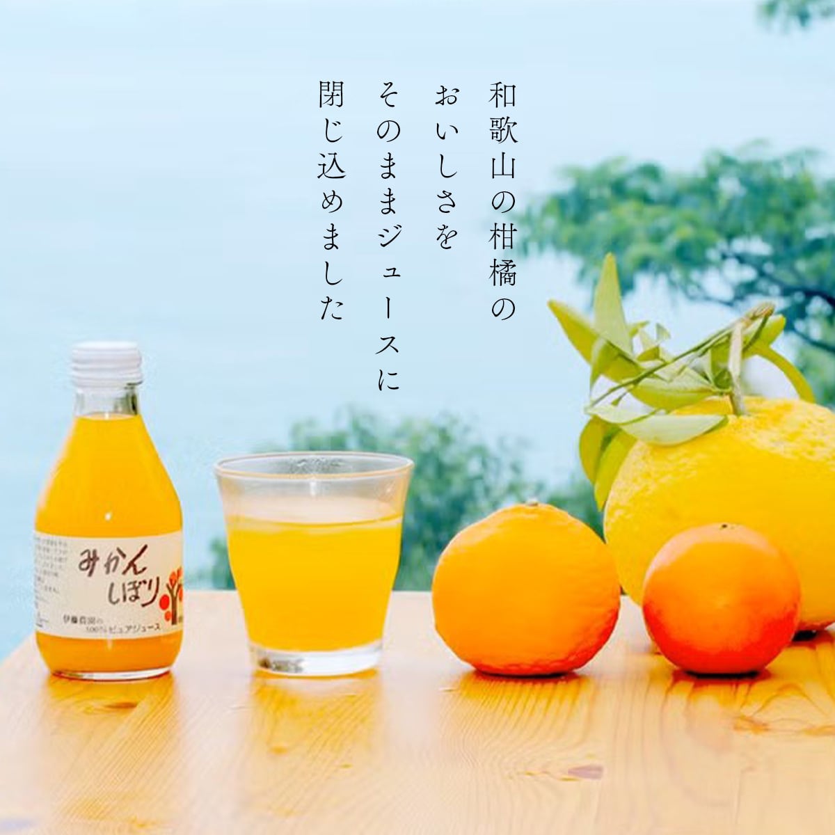 送料無料】和歌山県産100%ピュアジュース8本ギフトセット | お香典返し