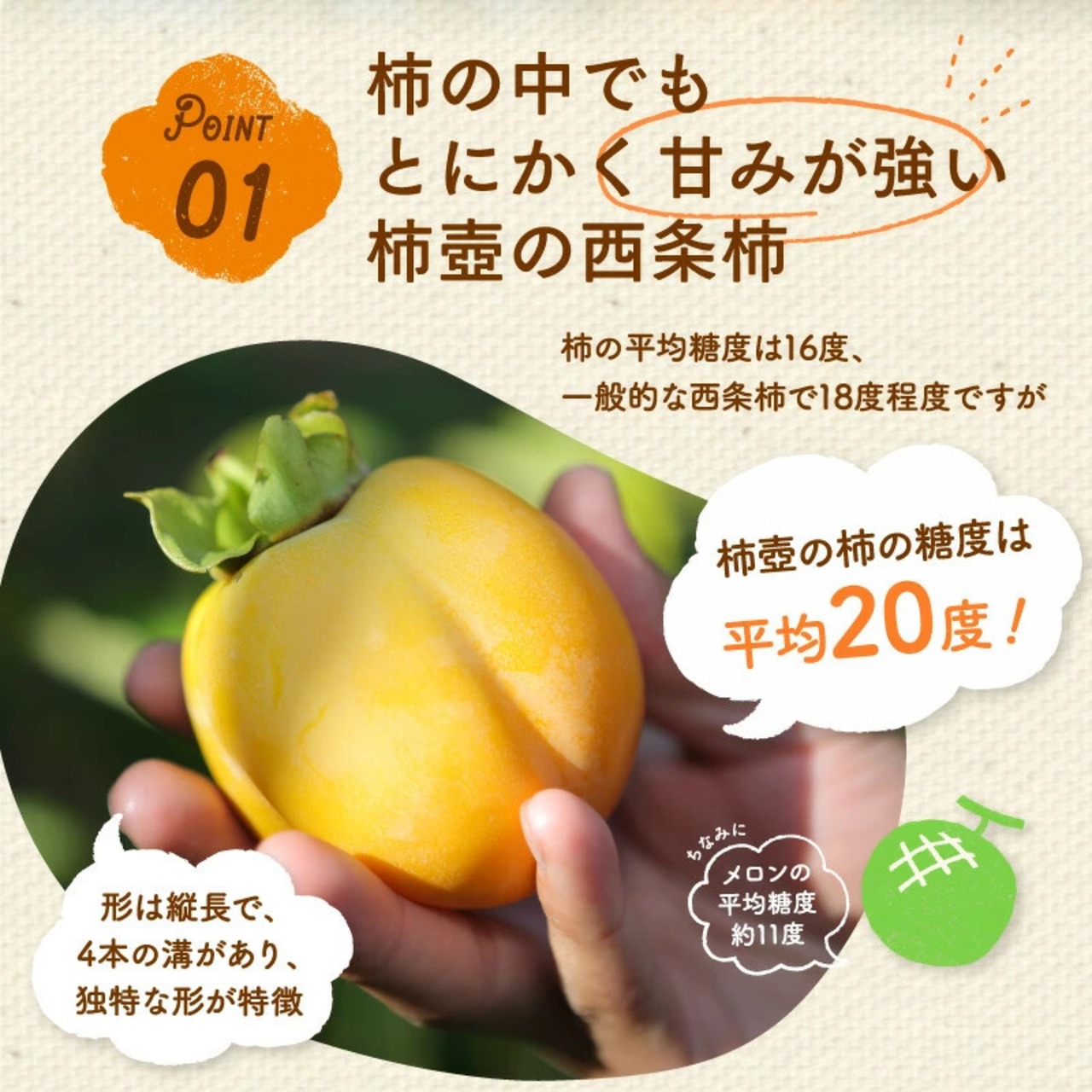 【2025年産】【11月発送】西条柿 4L 21玉（5ｋｇ）たしなみ
