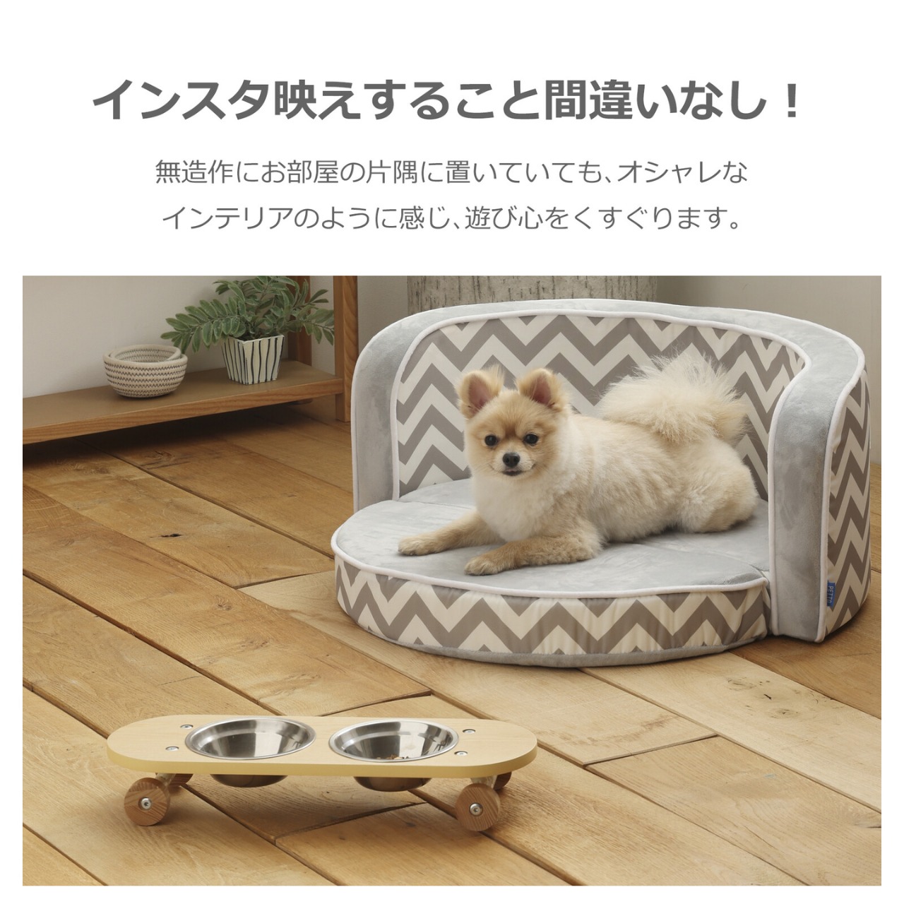 SK8 PLATE Sサイズ