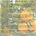 京都フレグランス　バレンシアオレンジ FCF・エッセンシャルオイル