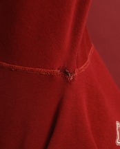 1970's Harvard / Sweat Shirt