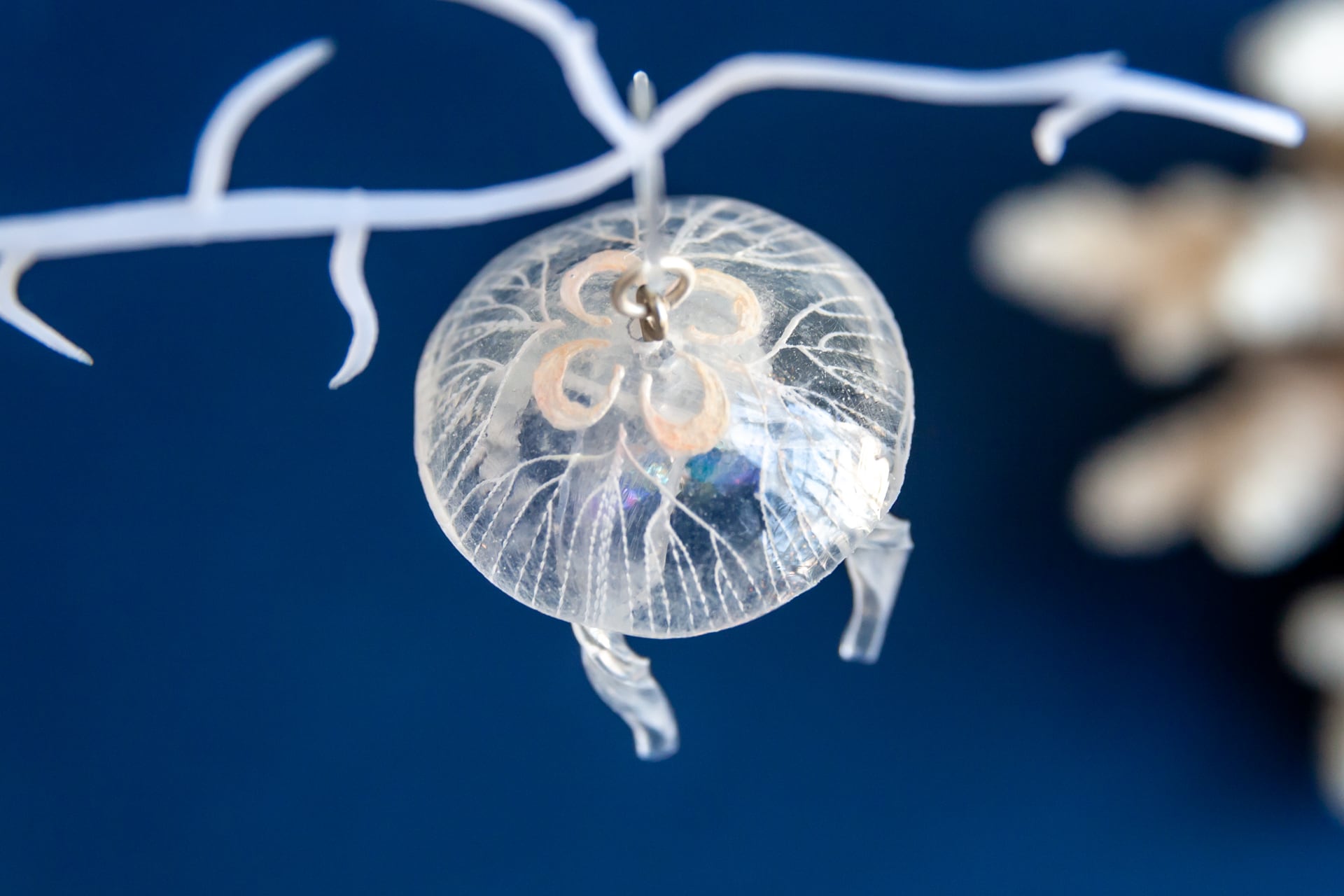 満腹ミズクラゲ 18 Hoccolie 満腹ミズクラゲ 18 Hoccolie