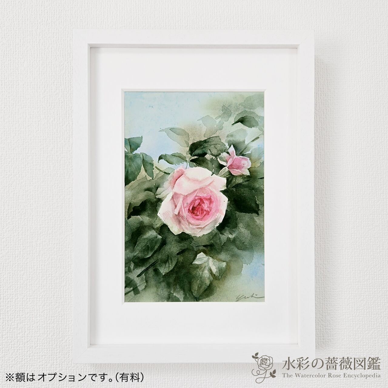 水彩の薔薇図鑑 ONLINE STORE