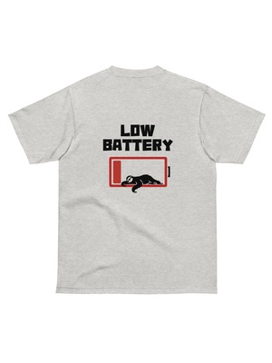 LOW BATTERY[P0011]