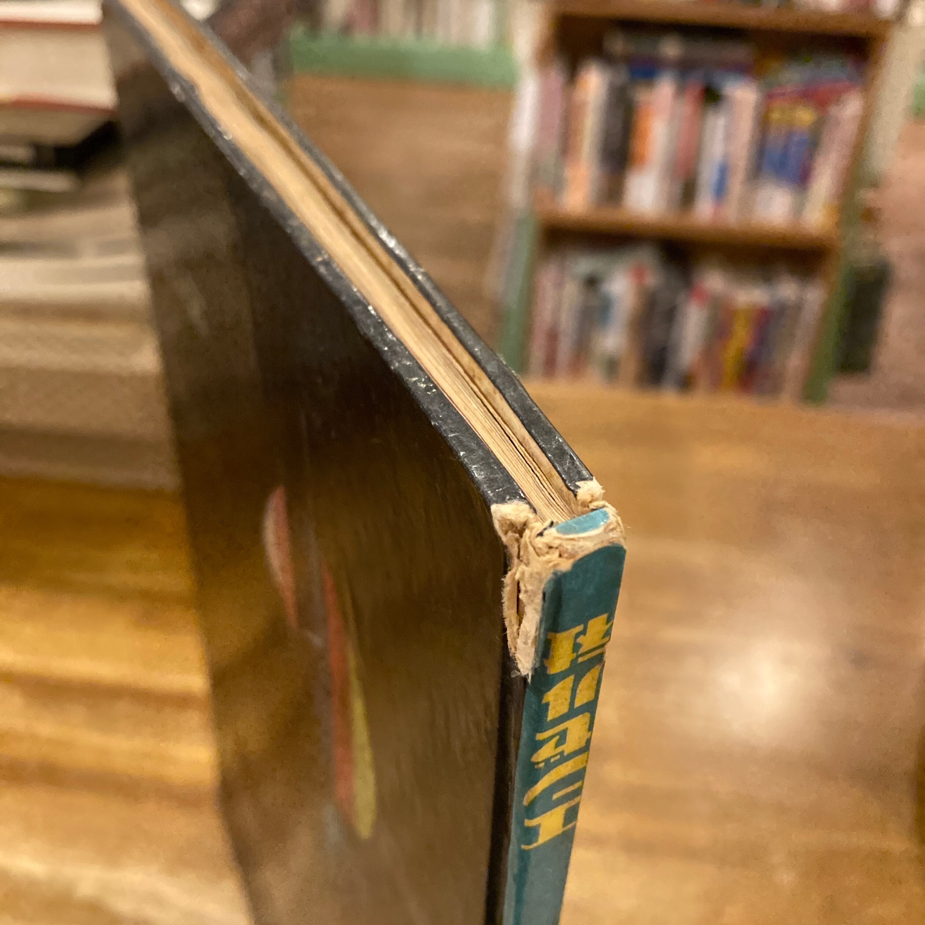 青い鳥 あおいとり A GIANT ANGEL BOOK / 堀尾青史 文、宇野亜喜良 絵