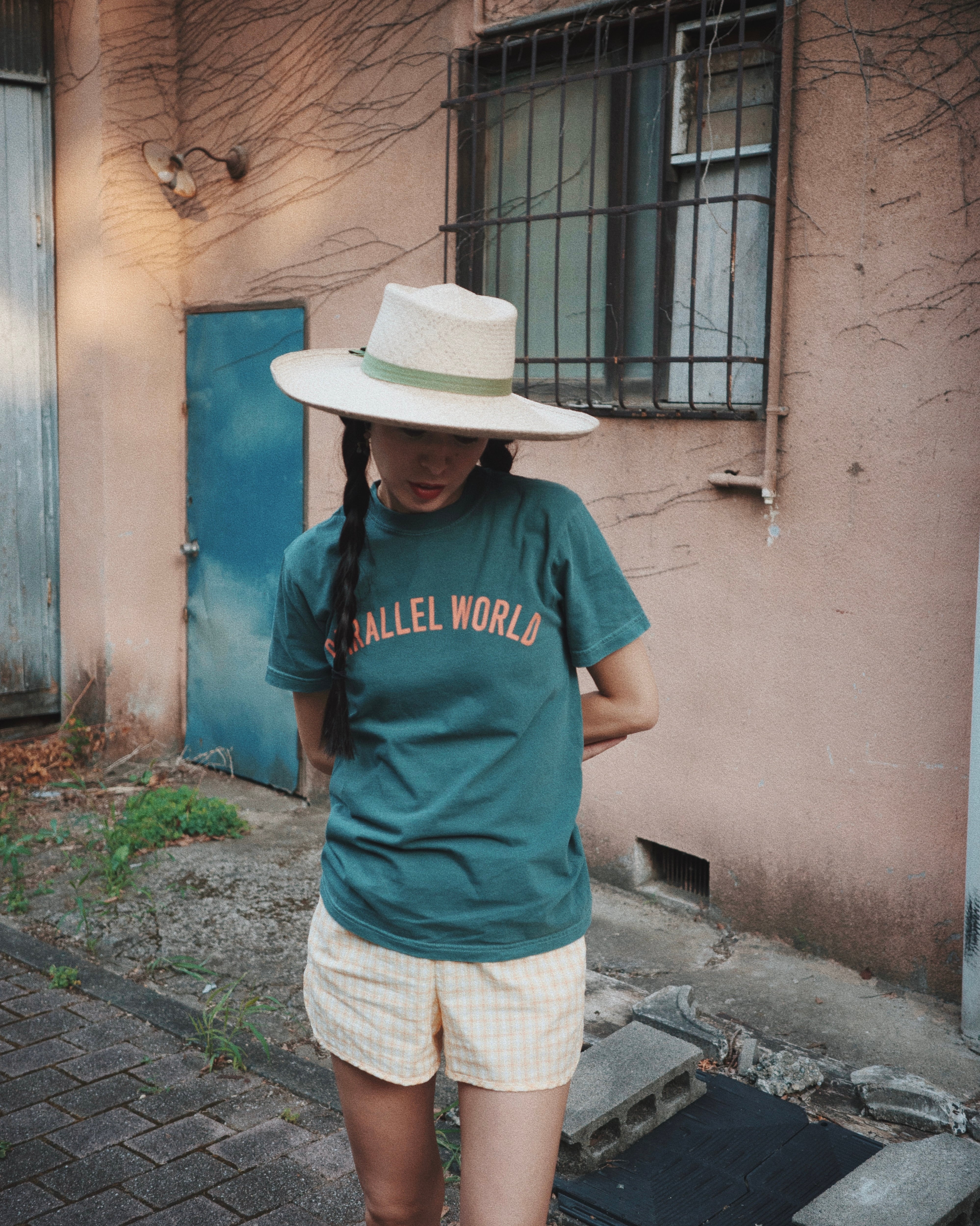 parallel world T