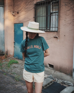 parallel world T