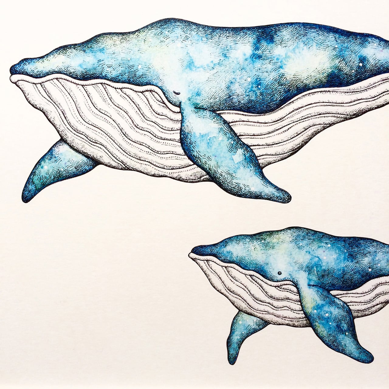 ダウンロード商品】クジラの親子 アートプリント/イラスト複製画