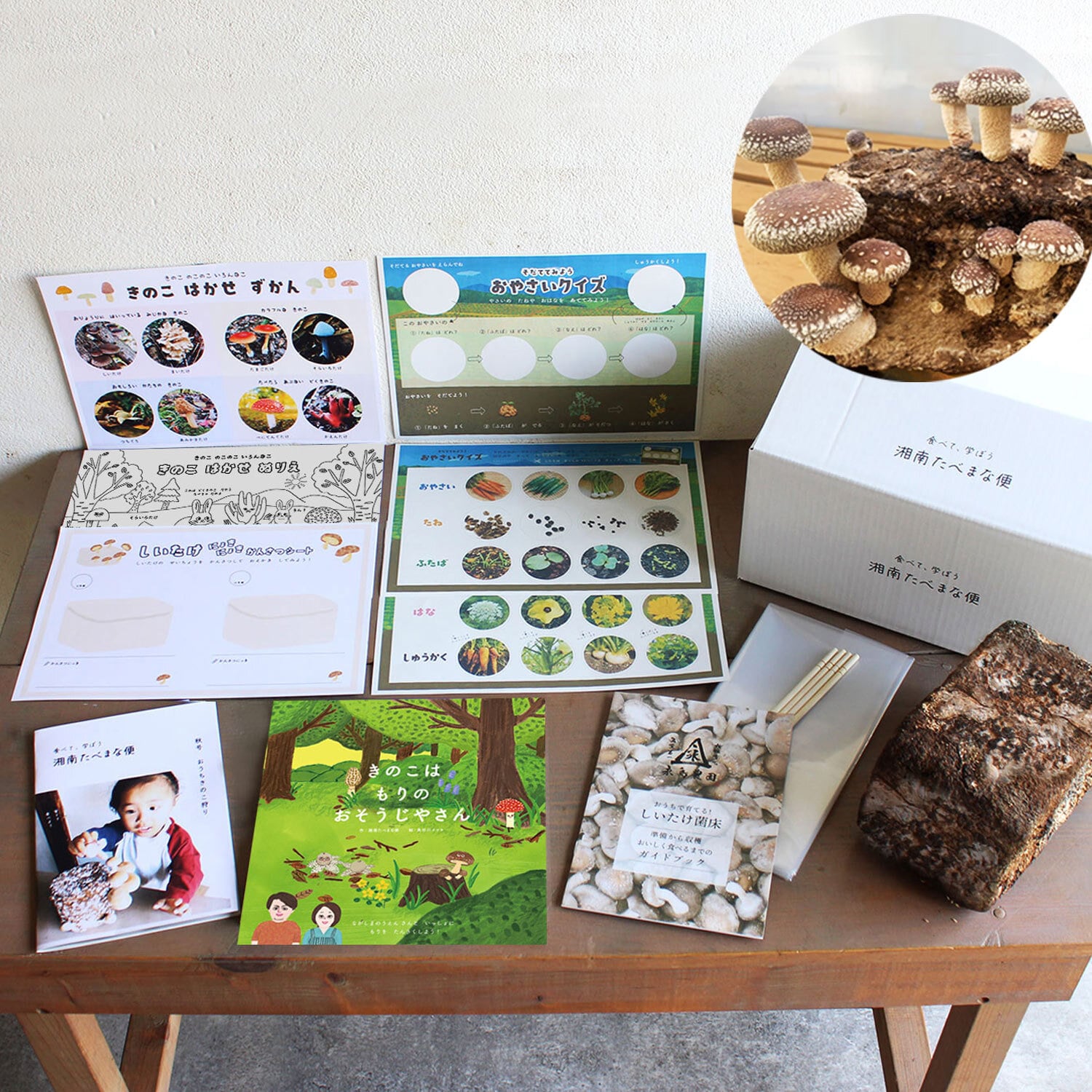 秋号 『おうちきのこ狩り』オリジナル絵本付 | 湘南たべまな便